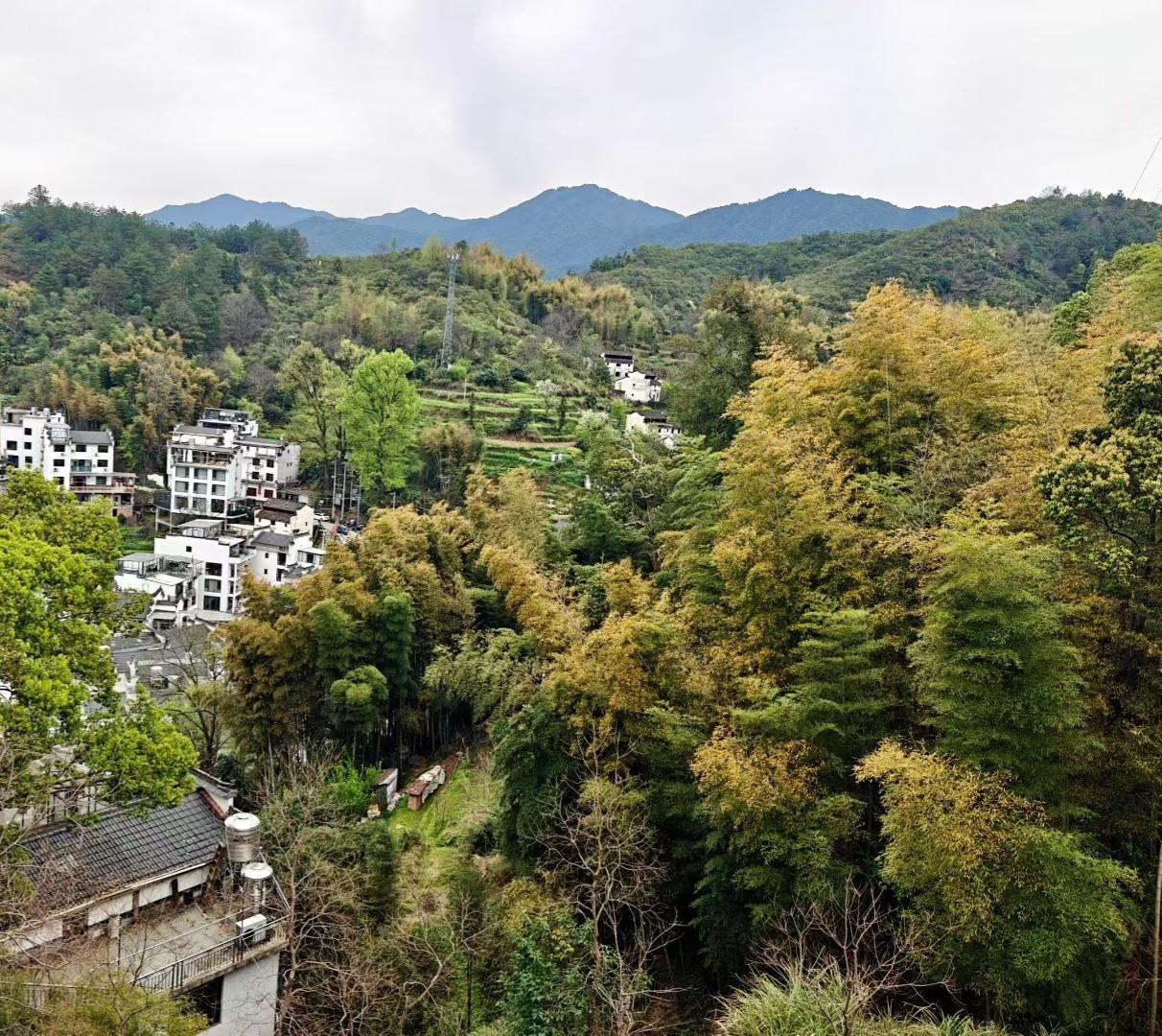躲进山野深处，看白墙黛瓦隐在青山翠影里。风掠过竹林，捎来草木的清润气息，连空气都