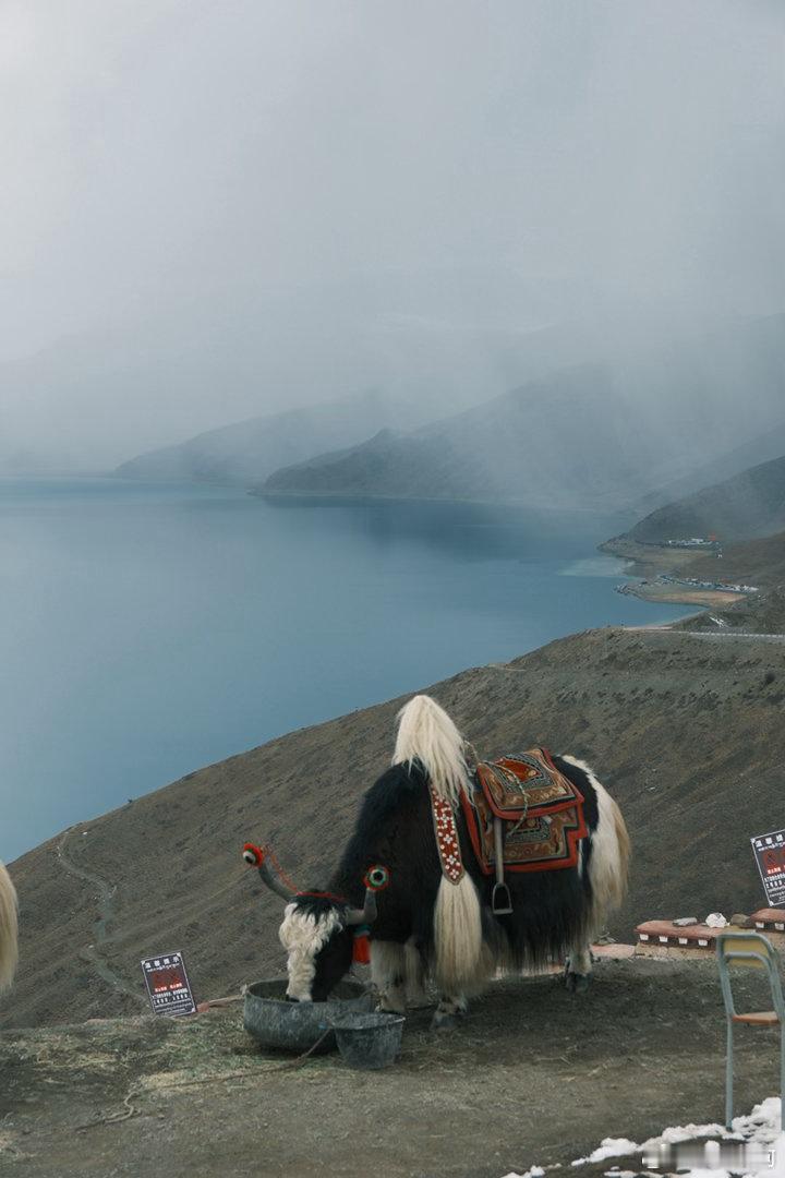西藏之旅DAY2：羊湖雍措天上仙境，人间羊卓，阴天也抵挡不住它的美 