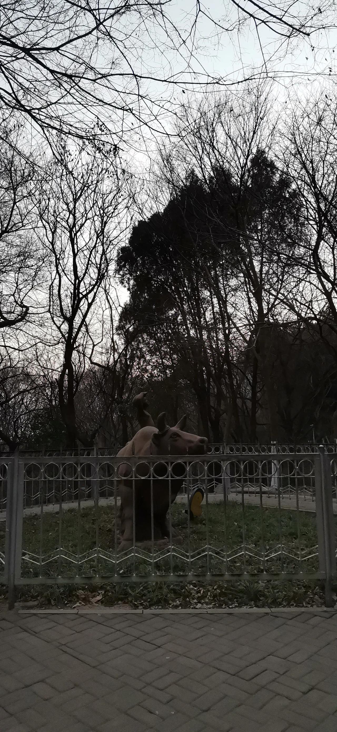 随手一拍记录当下的美好