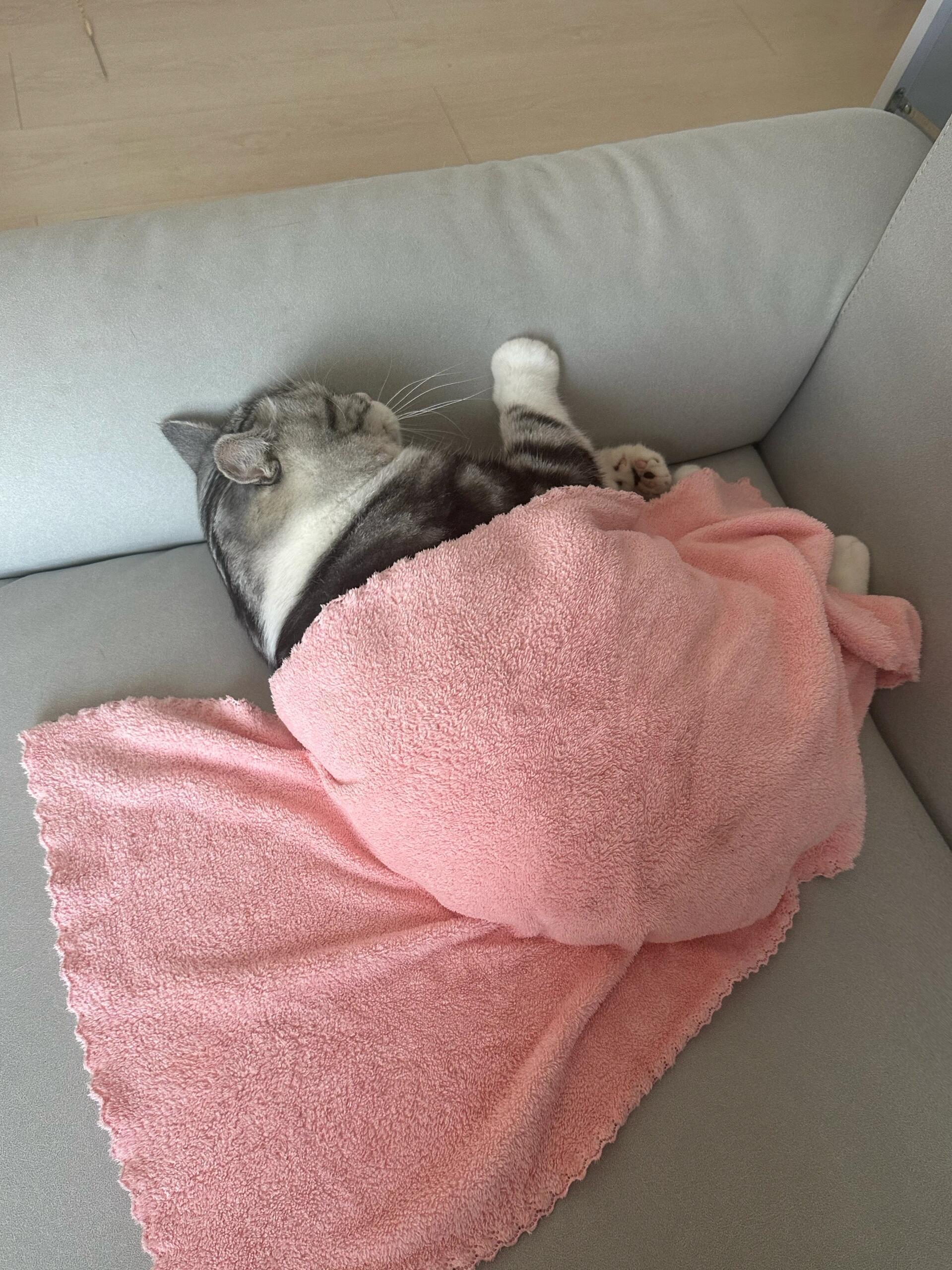 在中国，美国妞吹空调也得盖上肚子