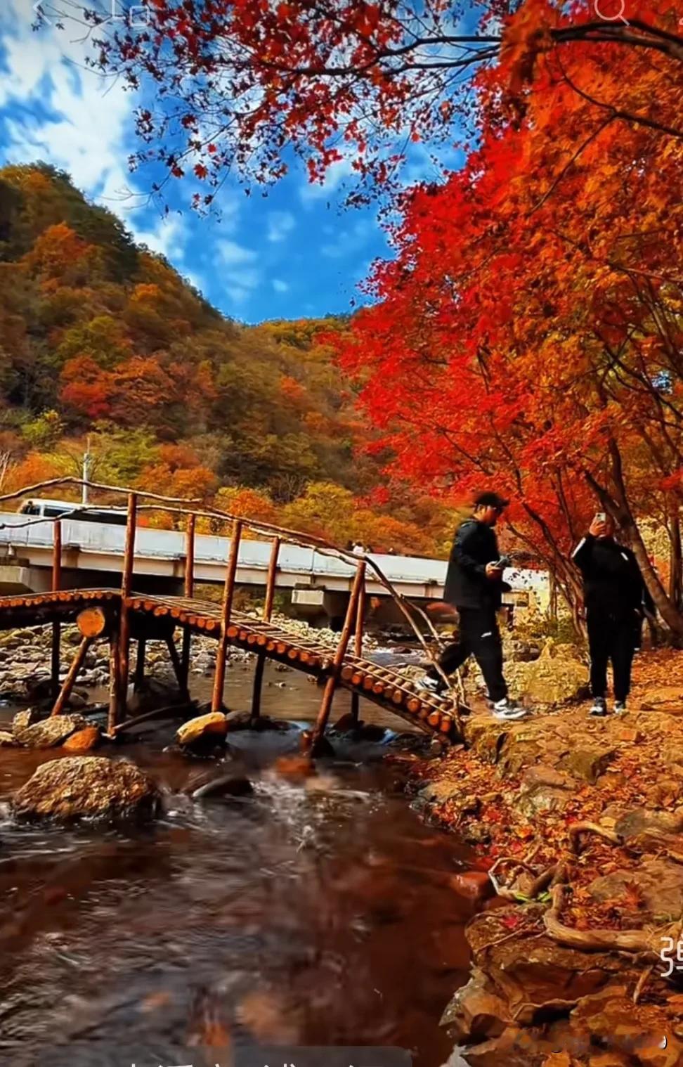 仲秋
            一
风抖林梢雨画屏，
白云潜底水流东。
一行大雁千