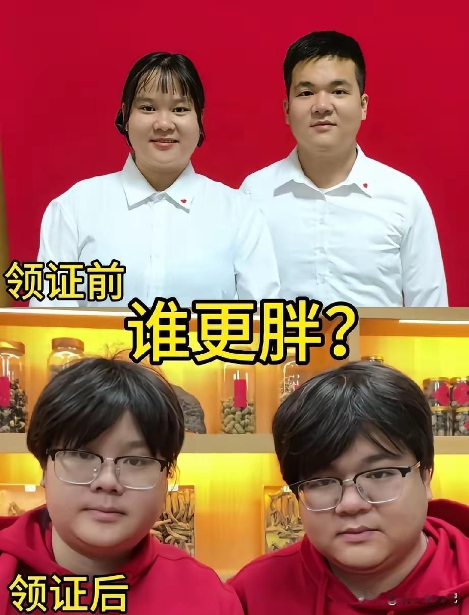 像，太有夫妻像了。