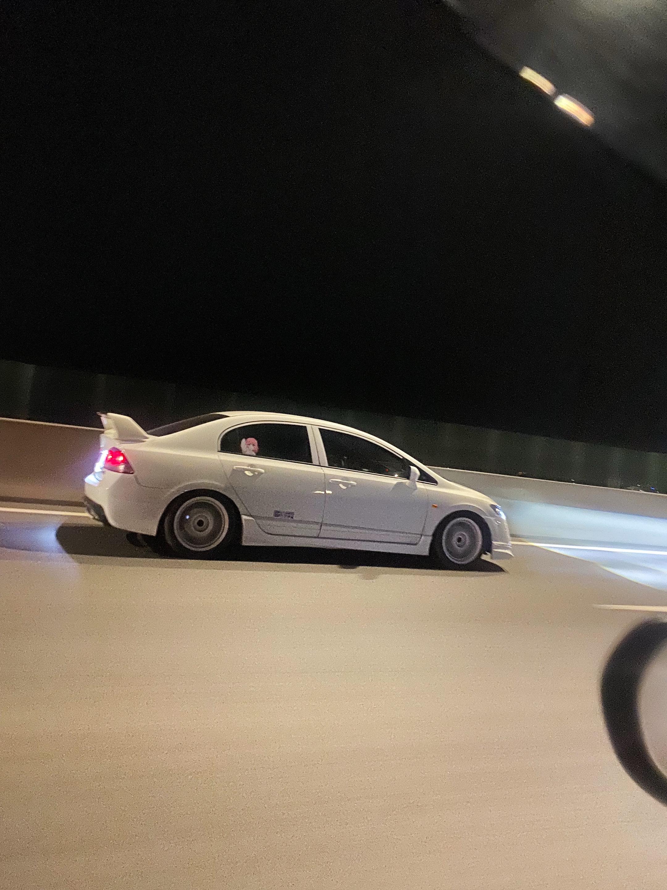 没有人会踏雾而来，喜欢的风就要自己去追
