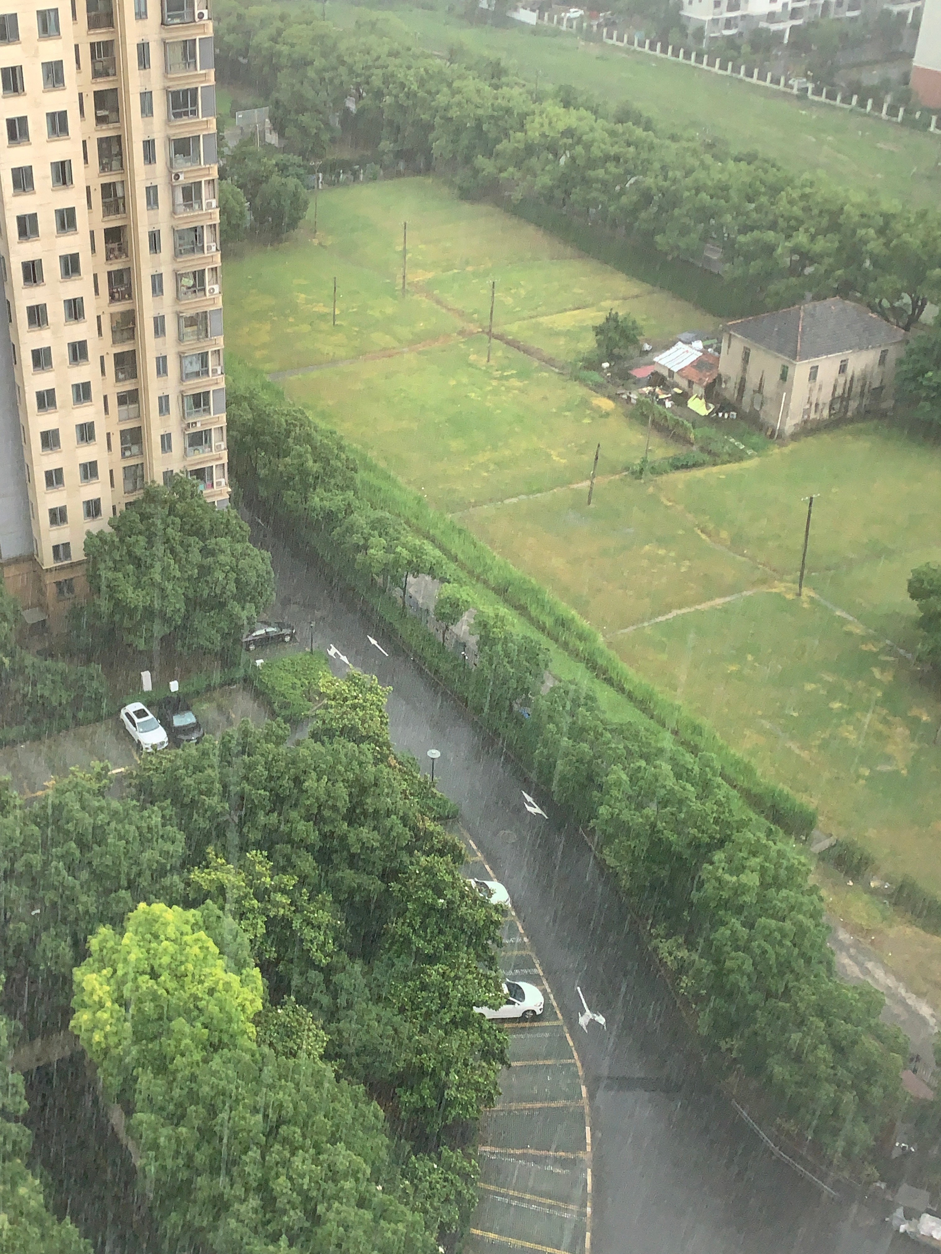 下暴雨了喂 