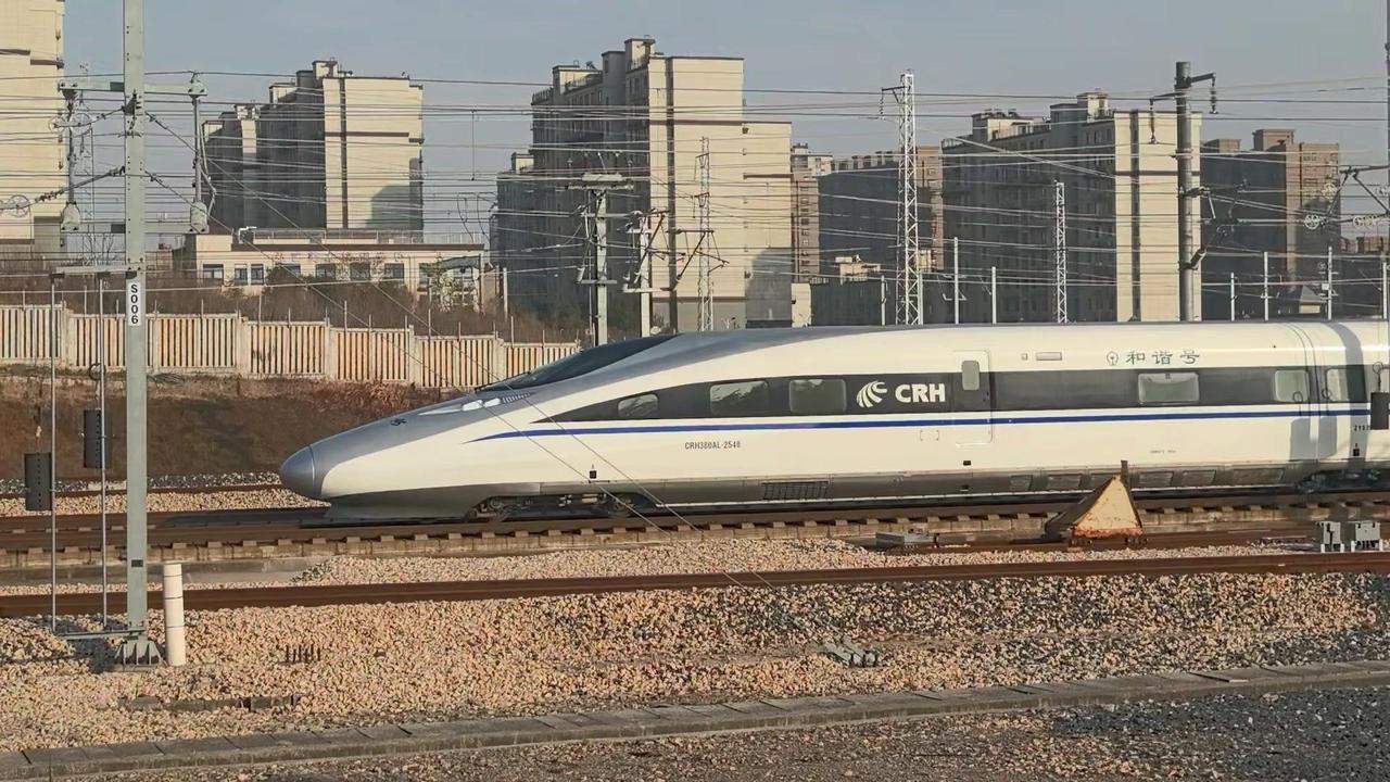 本想拍和谐号跨站，结果被一只长老鼠挡得严严实实，最后只拍到了尾灯。

意外的“同