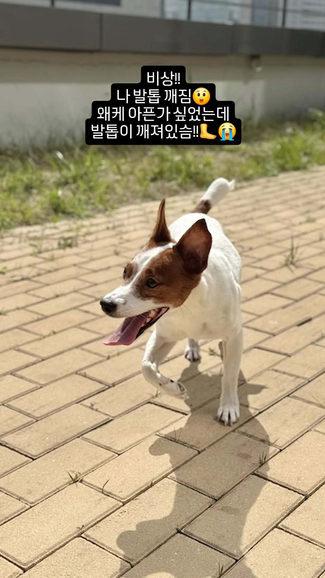 “CB百蓝_。260405金希澈 ins story更新：紧急情况!!我的脚趾甲