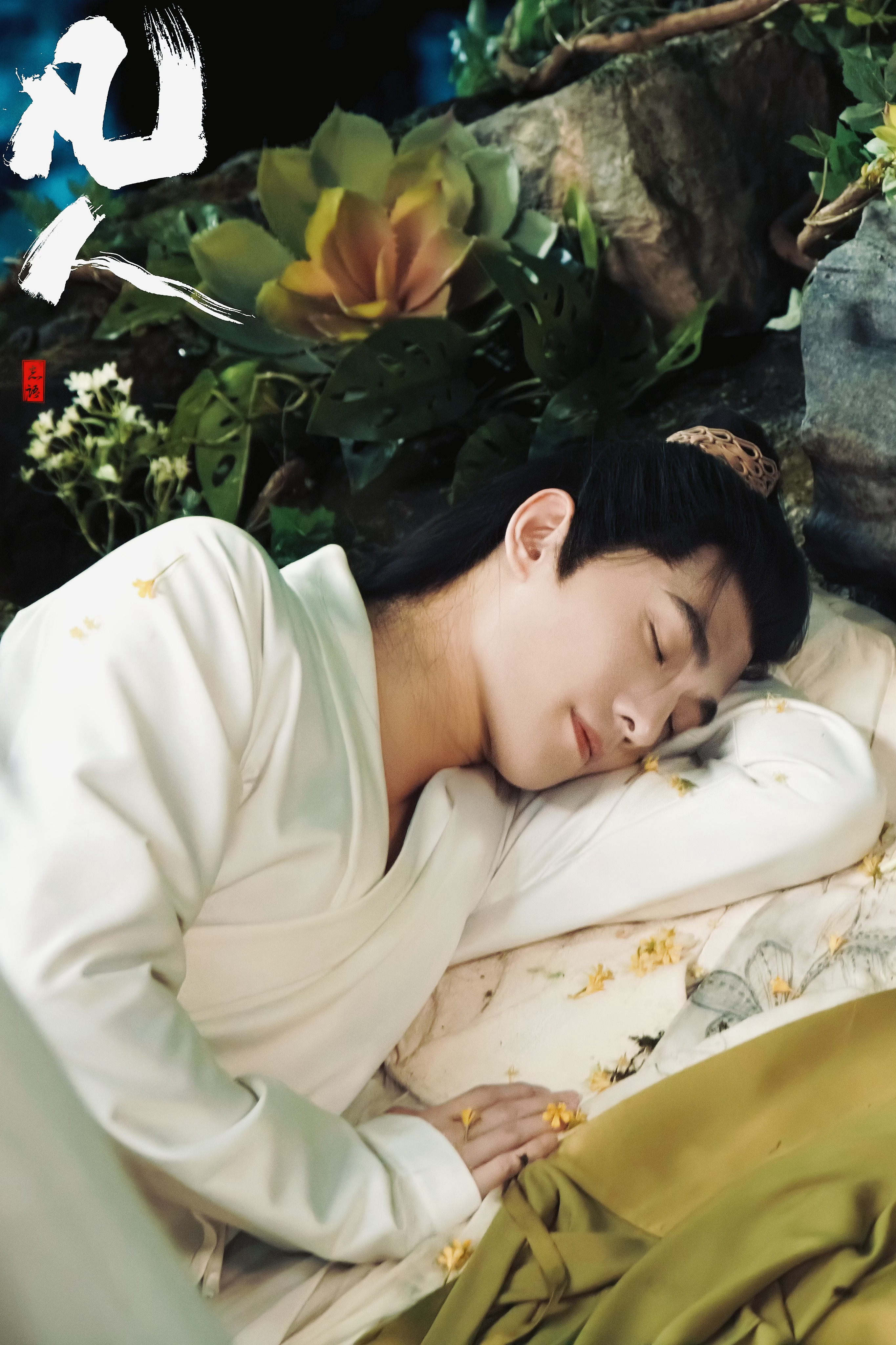 杨洋凡人修仙传开播一周年 一年了还能看到新的韩立杨洋
