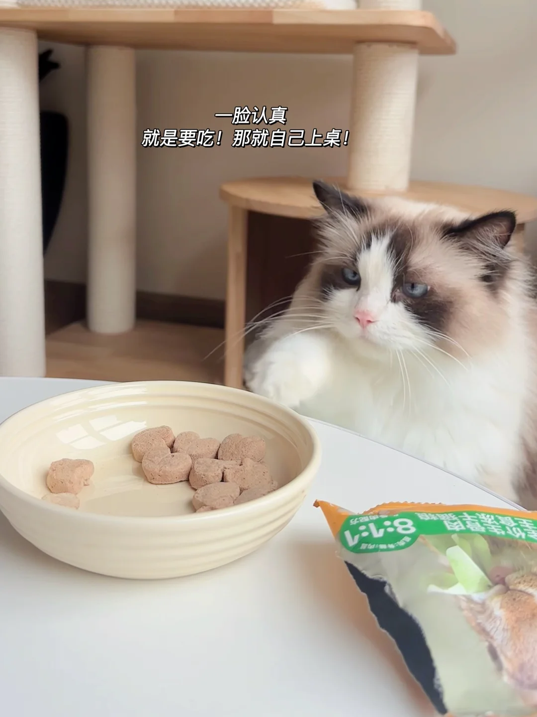 有喂过帕特冻干的嘛？