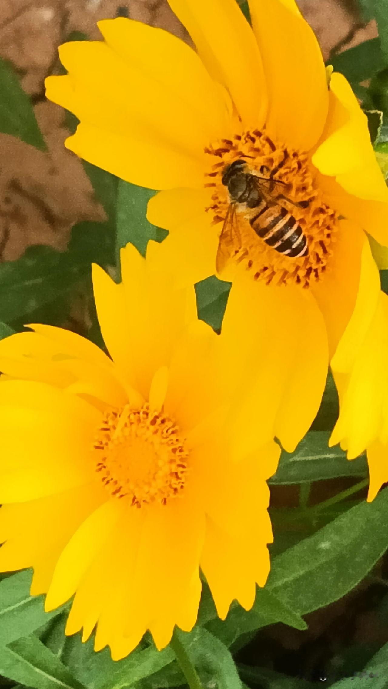 三言两语

当真相没有曝光之前，所有的揣测和攻讦都是对自己的嘲笑。是是非非有人说