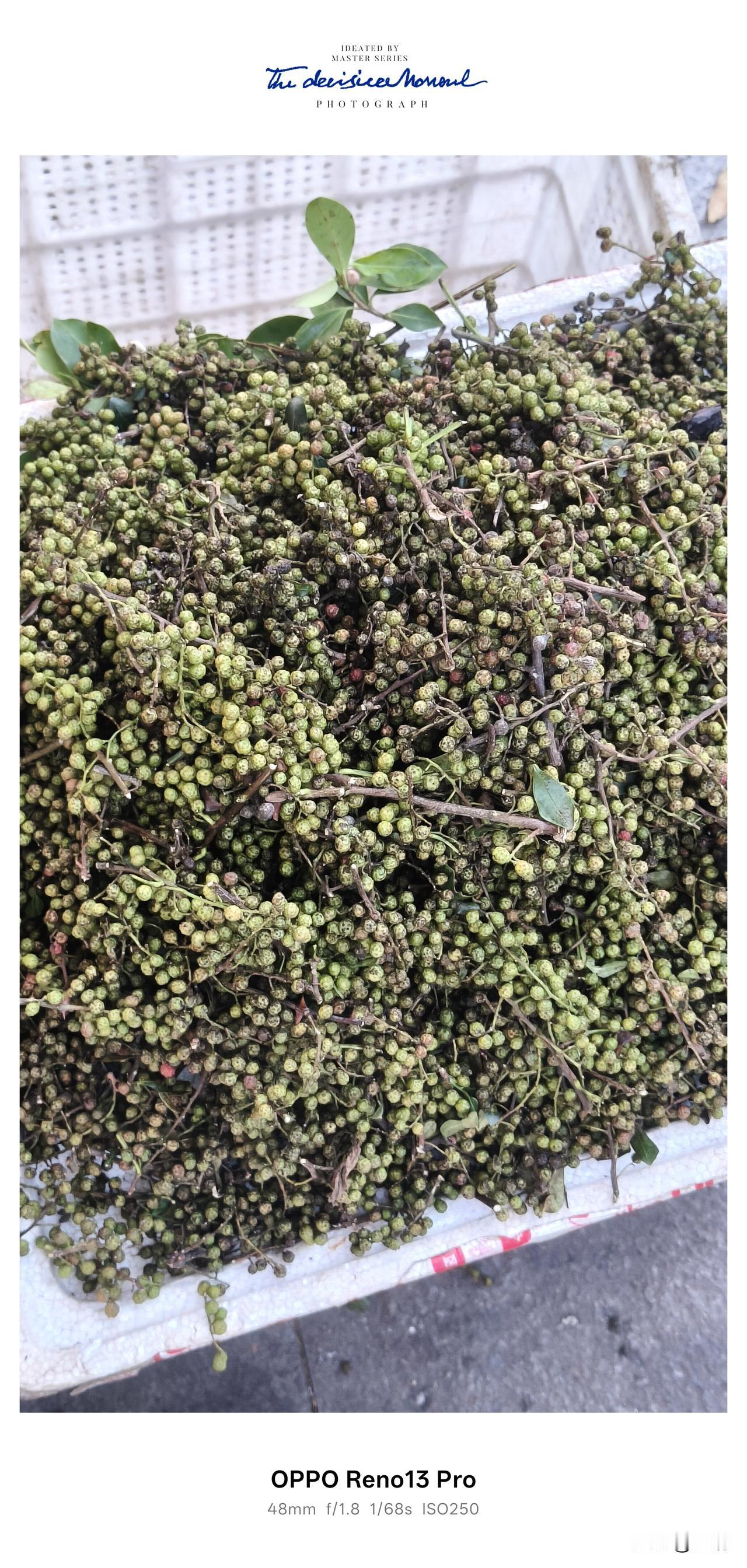 逛市场看到一大堆新鲜青花椒，绿油油的看着特别喜人。平时家里用的基本都是晒干的红花