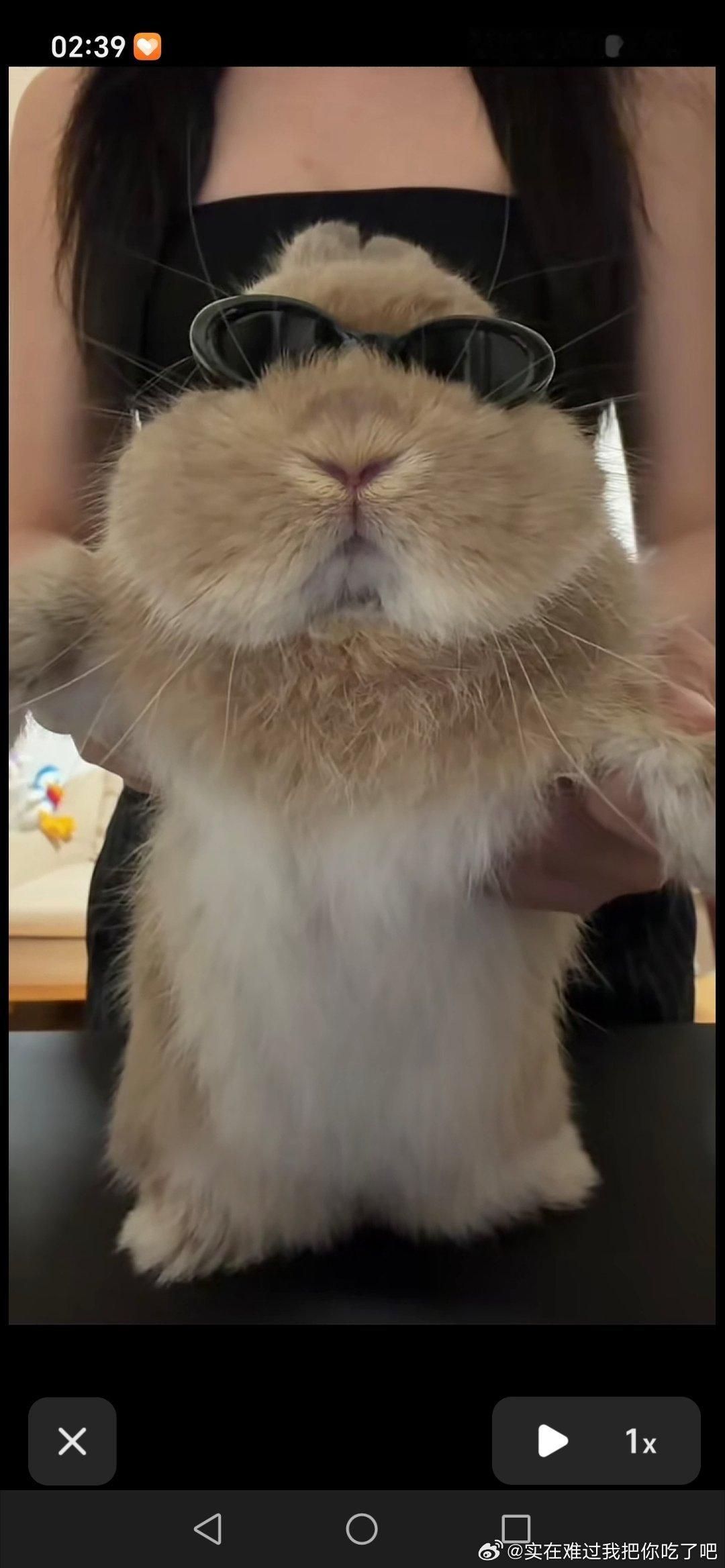 秘书 