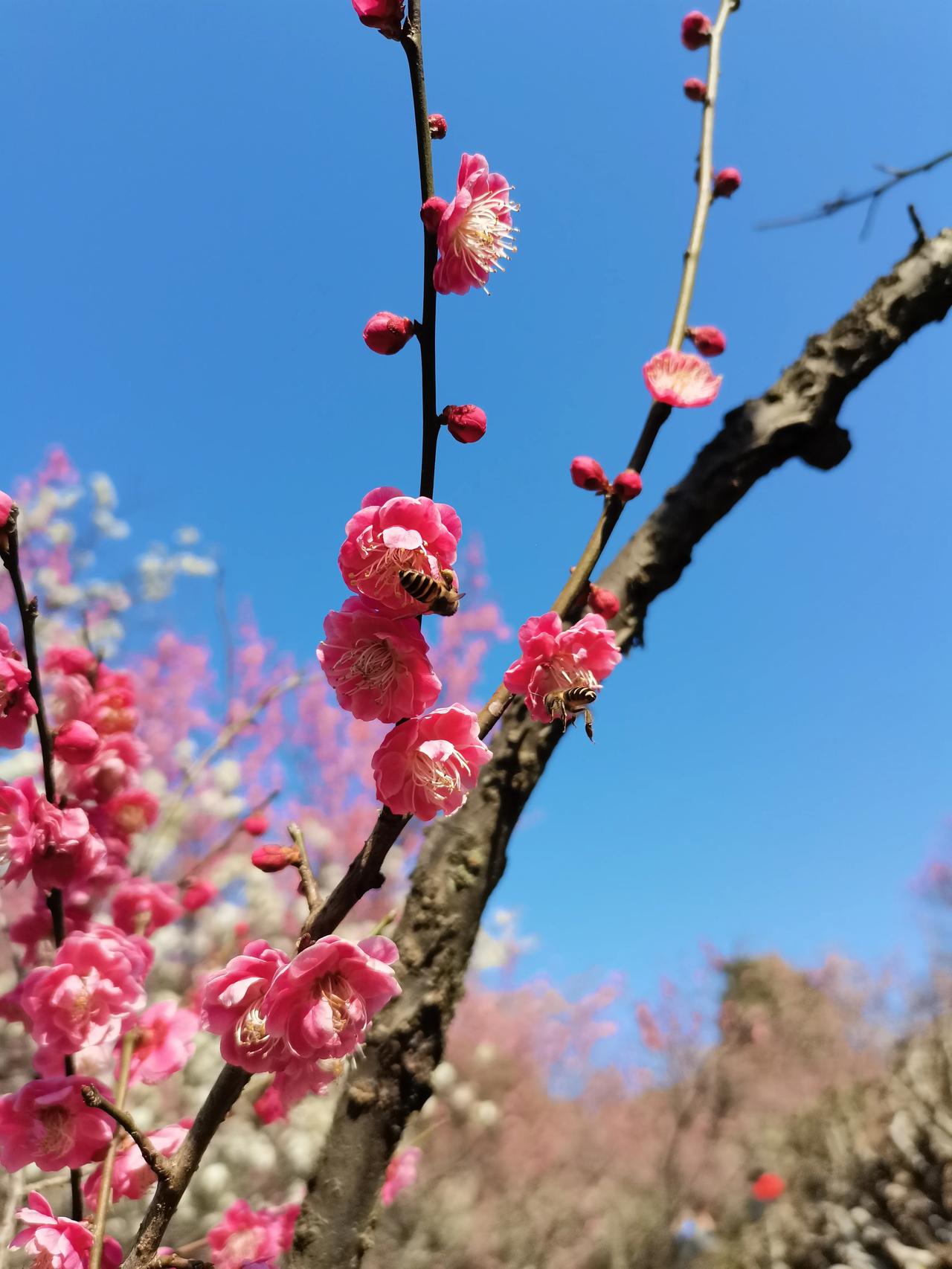如何心静？就是把心沉到自己都看不到的地方，说的是这种感觉。心都看不见了，外事外物