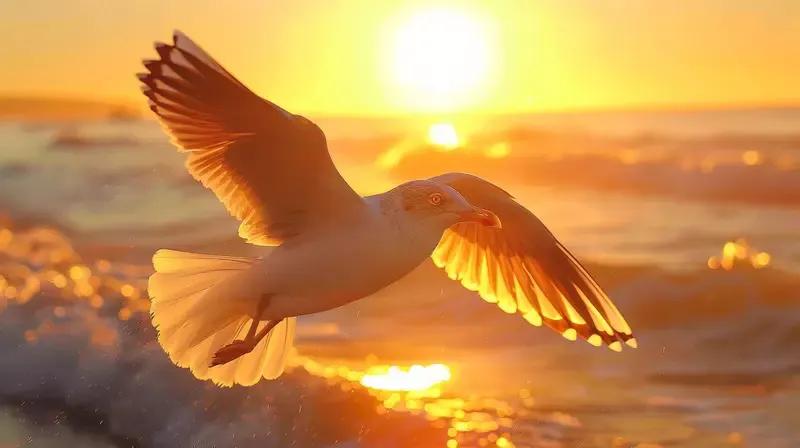 丹霞映日山如画、
悉心打造春秋梦、
忆江春水向东流、
雁荡山景报喜号、
落雁归路