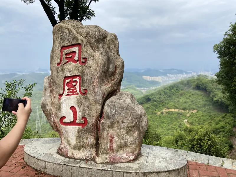 凤唱万岭山。                                  