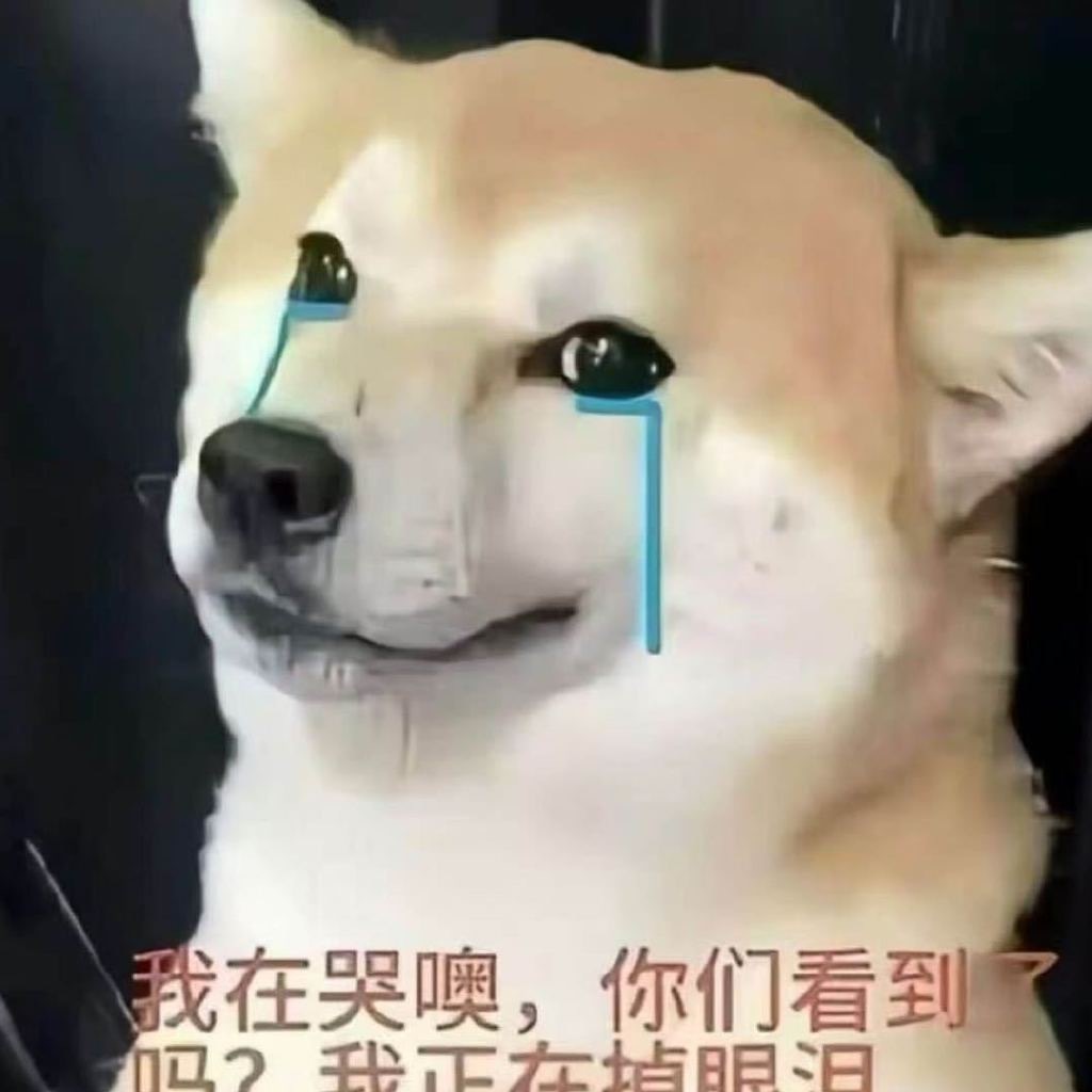 忙的都没有时间喂我的熊猫了 ​​​