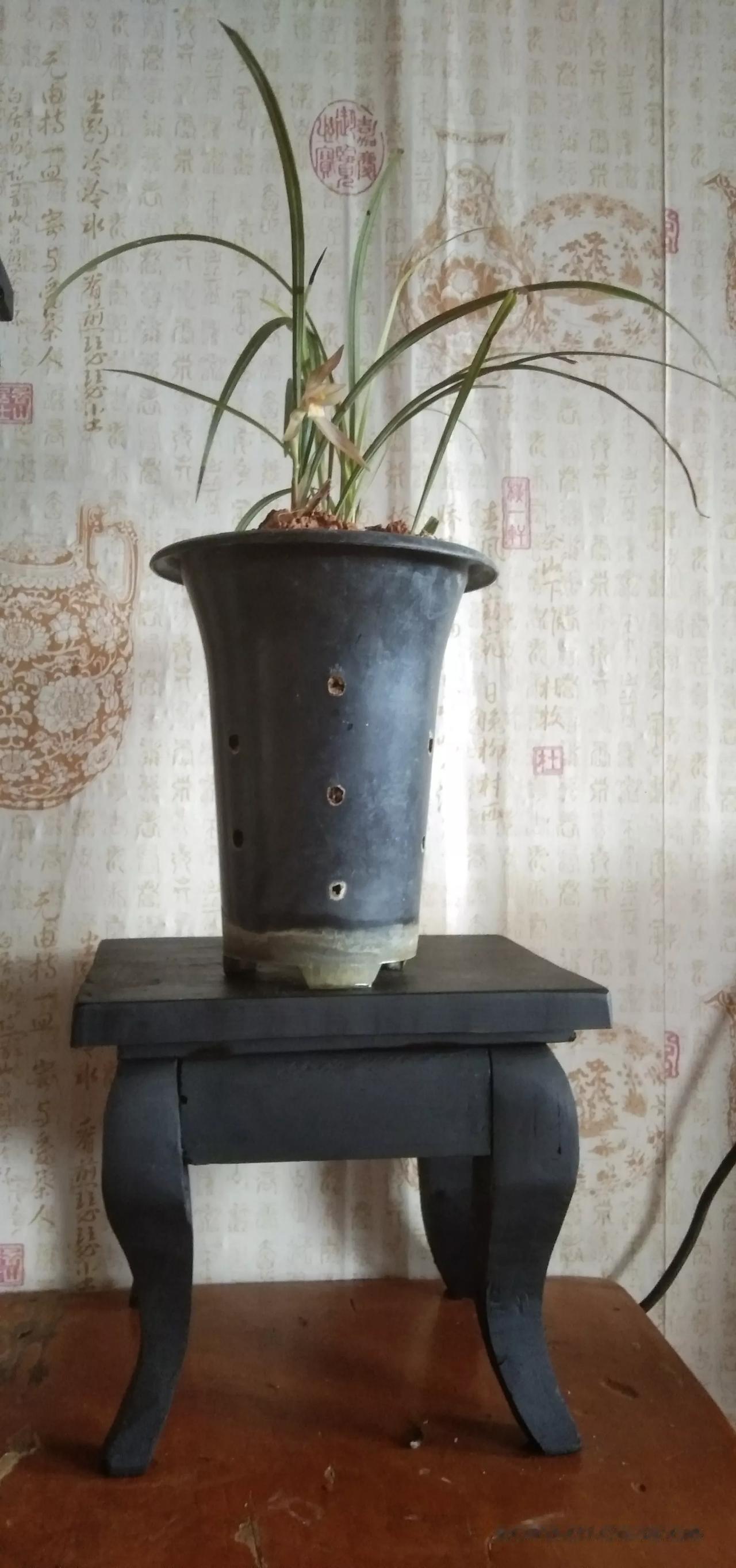 上联：琴棋书画门门晓，如何对下联幽香扑鼻阵阵香