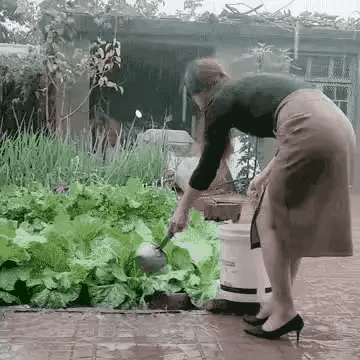 美女
你这是咋了
脑子短路了不成
这天还用浇水[捂脸]