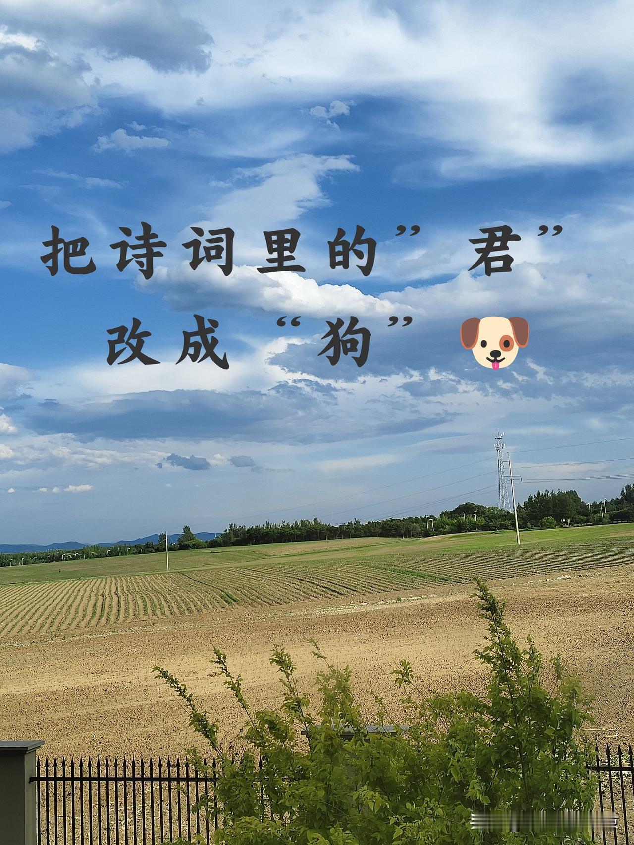 这番操作让人乐疯癫了
试试就试试...
我先来~
狗子坦荡荡，小人常戚戚！
凉风