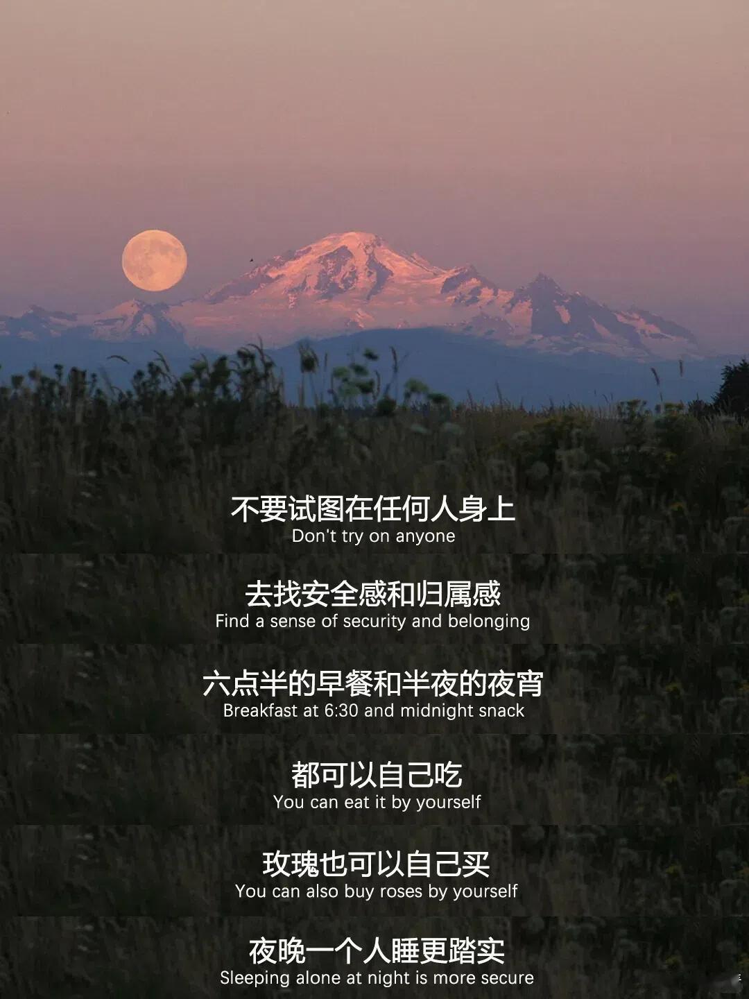 不要试图在任何人身上 去找安全感和归属感 。 ​​​