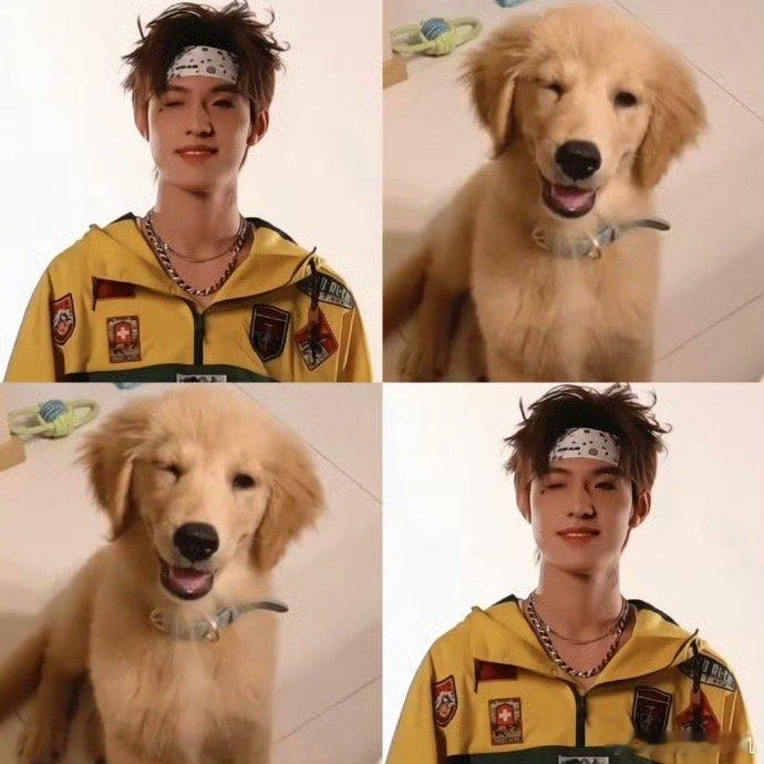 张泽禹先天小狗圣体 张泽禹就像一只被阳光晒过的小狗，身上带着温暖的气息，靠近他的