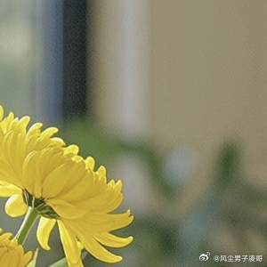 生活手记人间四月，万物清明，山河无恙，人间皆安，时至清明，念故人，惜当下，来日并