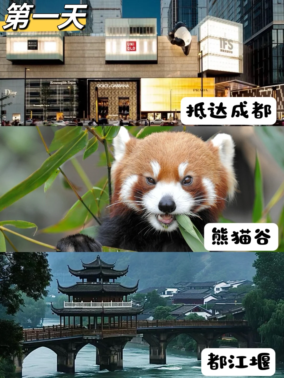 书本上学不到的知识！成都带娃研学必去！