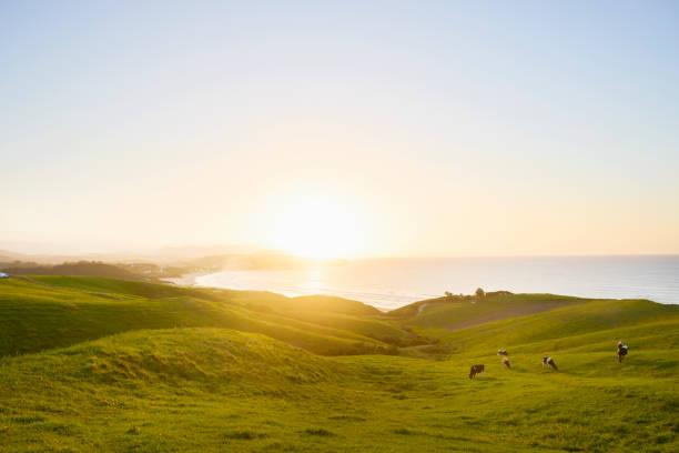 投资大师查理·芒格说过：
他这一生有两件事永远不做——**永远不要自怜，永远不要