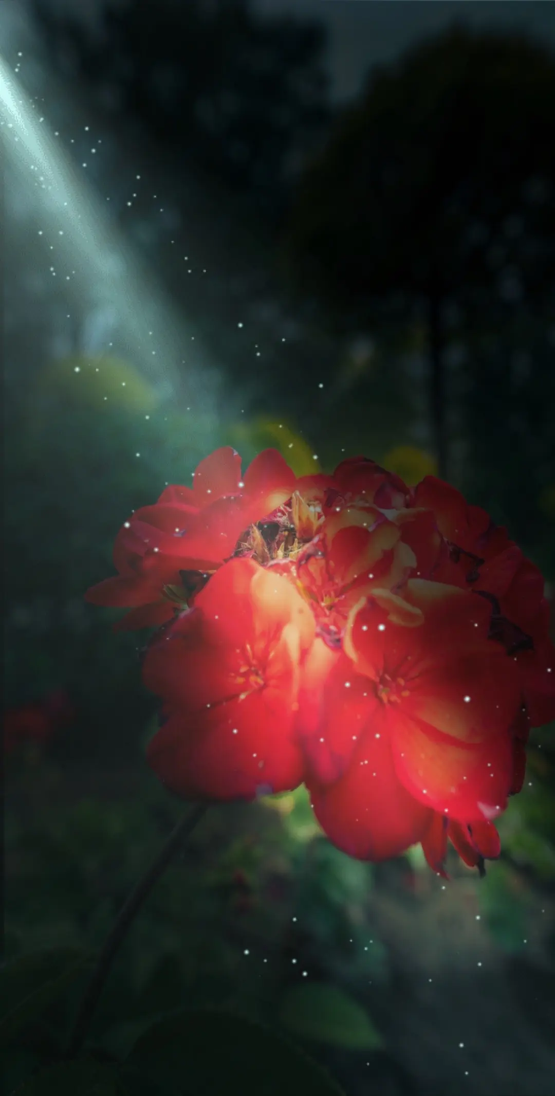 AI扩图 一花一草一世 百花深处 带您看风景