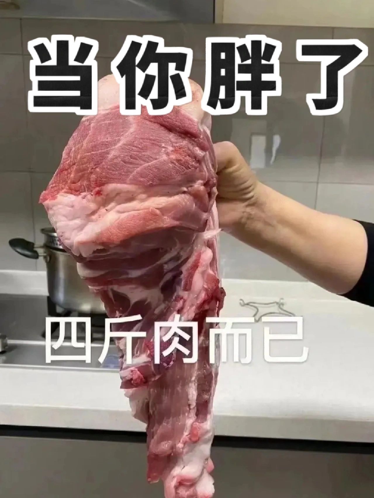 我也就图一而已，完全不怂[doge] ​​​