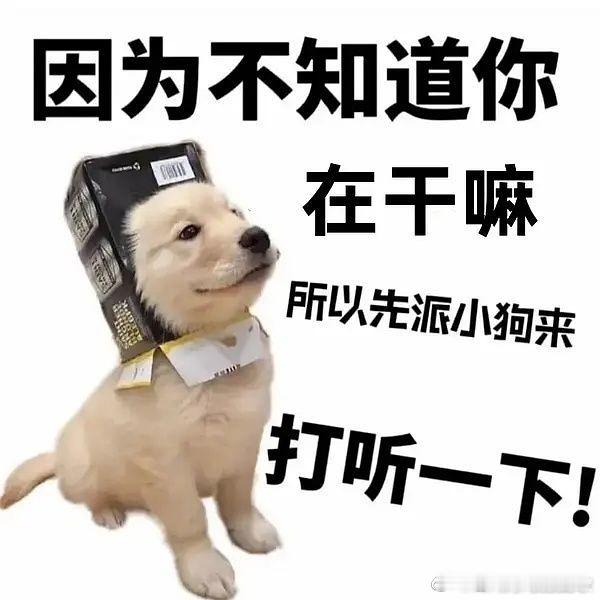 宝宝猪爱钱这本的进度大概走了三分之二到四分之三了。下一个咧咧原本是想写宋宝他俩来