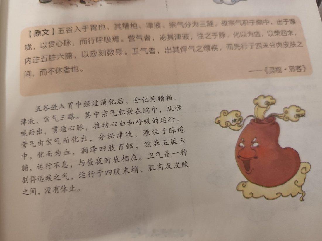 长期不吃五谷，或者不吃够五谷，肌肉，皮肤，神经系统，心血管系统，免疫系统都会乱套