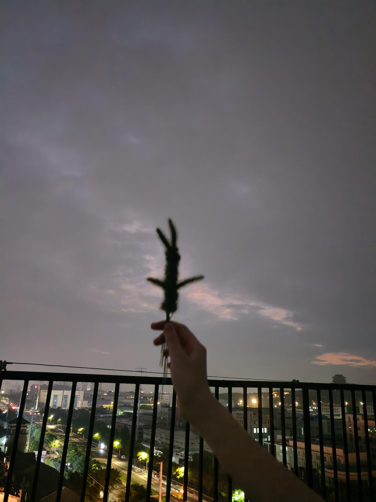 真的奉劝做头条的所有人，千万不要随便断更！我现在肠子都悔青了。
之前我坚持日更，
