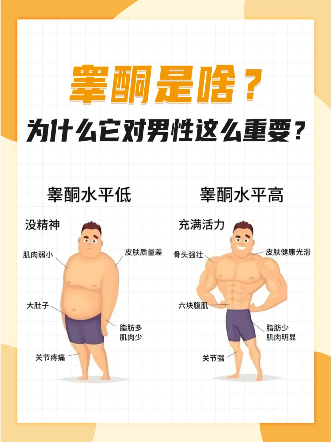 睾酮是啥❓️为什么男性都想提升它❓️