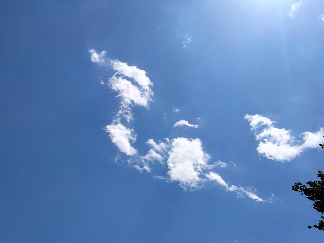 把你们天上的云发出来看看蓝篮的天上，白云飘/暖阳普照！