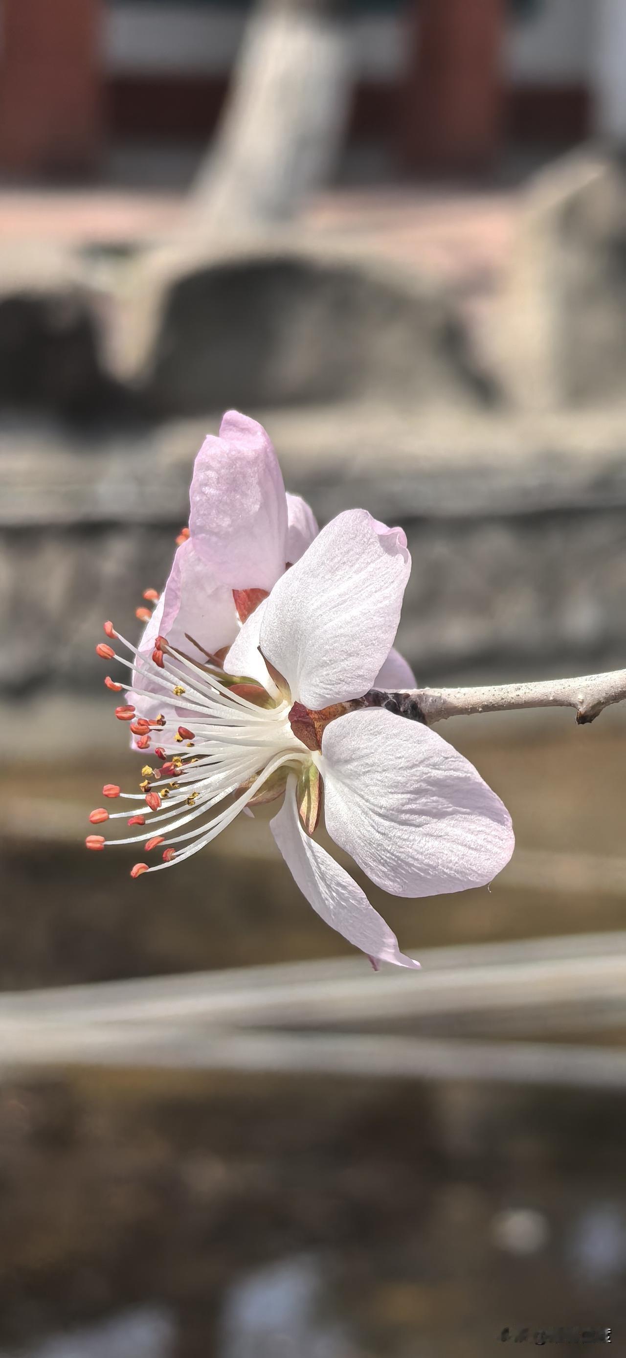 其实说到家，人世间所谓的对与错，善与恶，都是是因为立场和角度不同而做出来的结论。