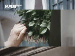 留取丹心照汗青在这一刻具象化了   黄三合嘶吼着 “尔等小辈焉能争雄” 赴死，丹