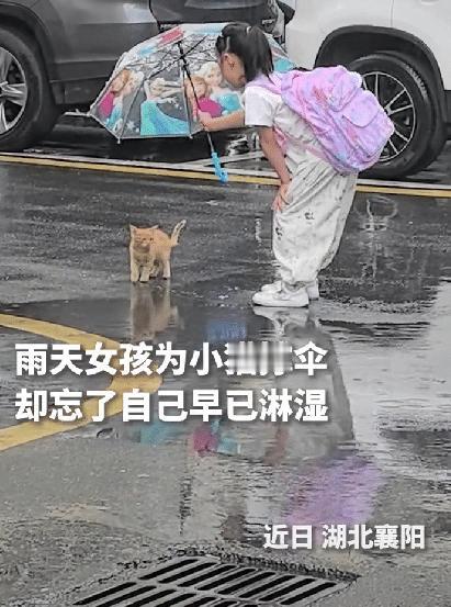 “上人民日报了！”湖北襄阳，一个小姑娘看到雨里有只流浪猫，她没有绕道走，而是弯腰
