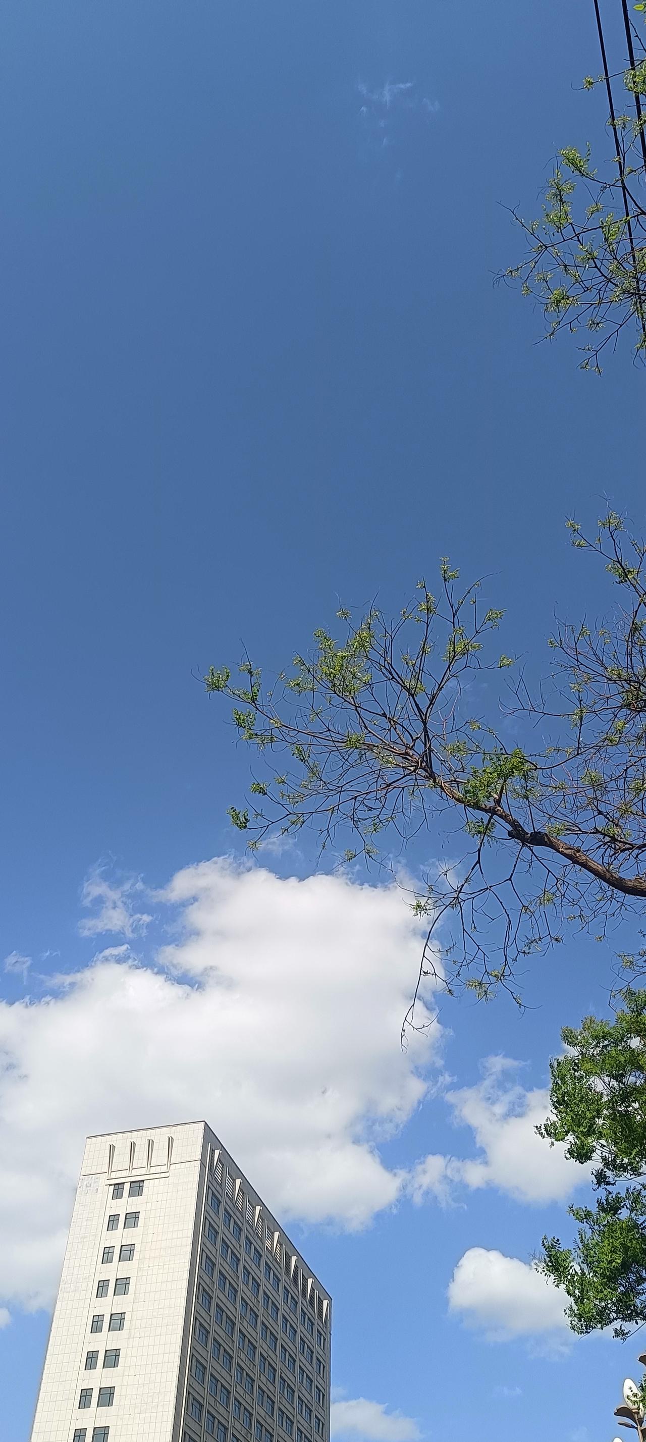 我认为关系重要
5条超实用职场生存法则，都是心法
判断一个人有没有心机和城府，只