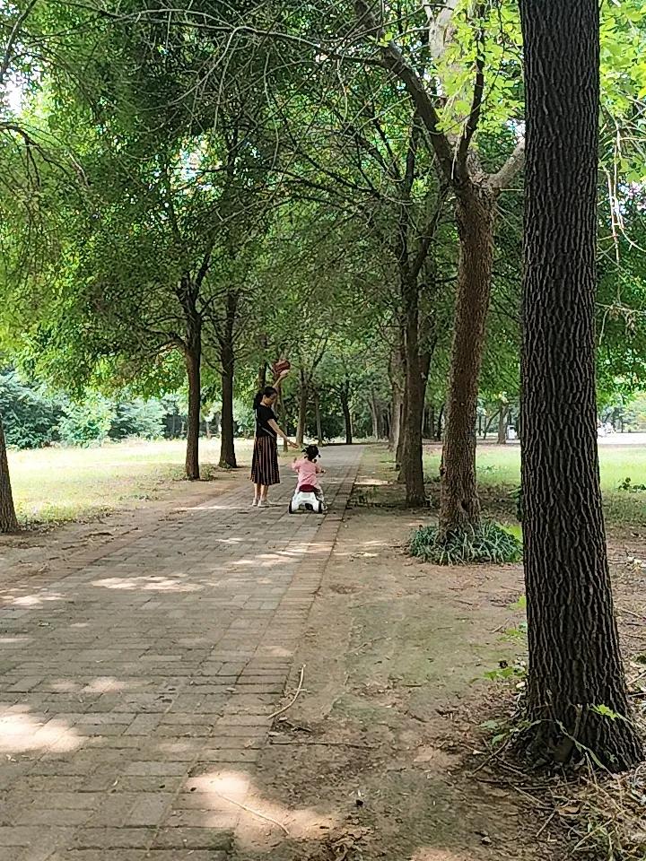 这么美的地方，以后必须我会常来！找棵大树，往那椅子上一坐，带本书开启我的读书时光
