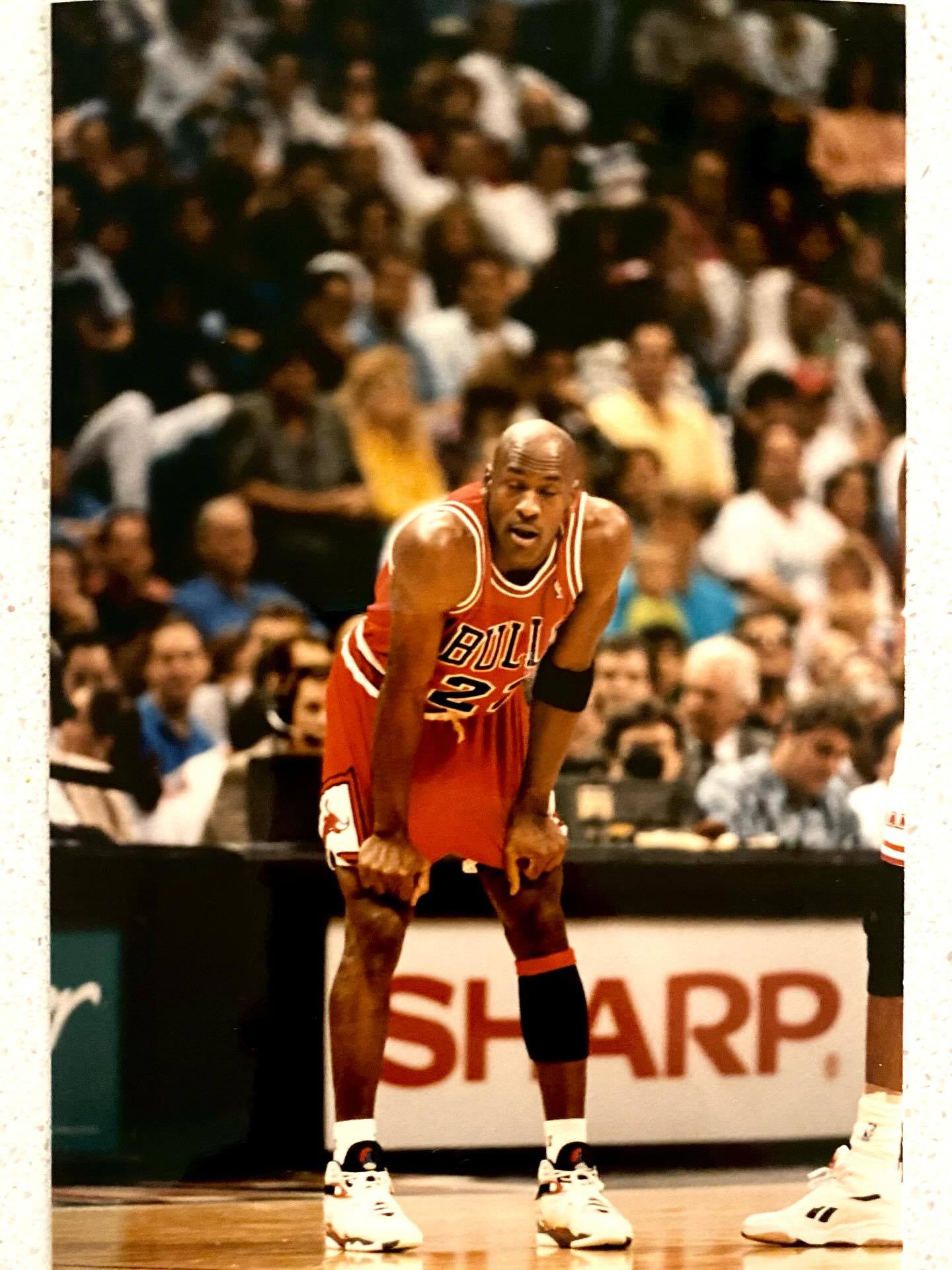 Michael Jordan Bunny 