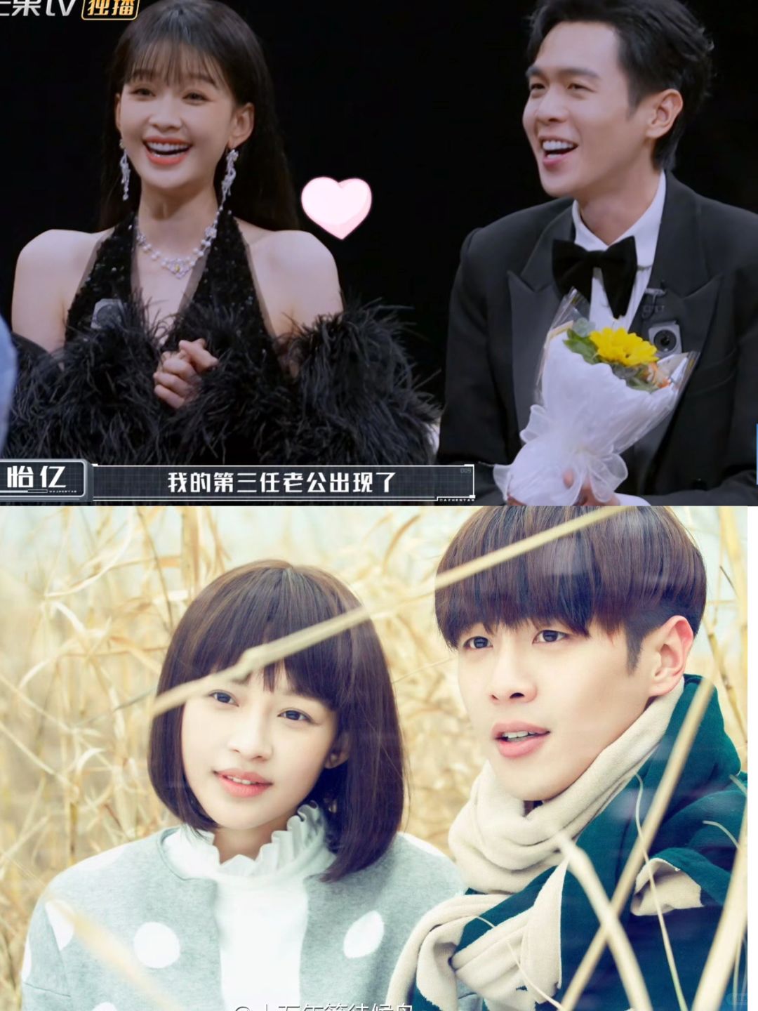 啊啊啊啊候鸟组给我站起来嗑！