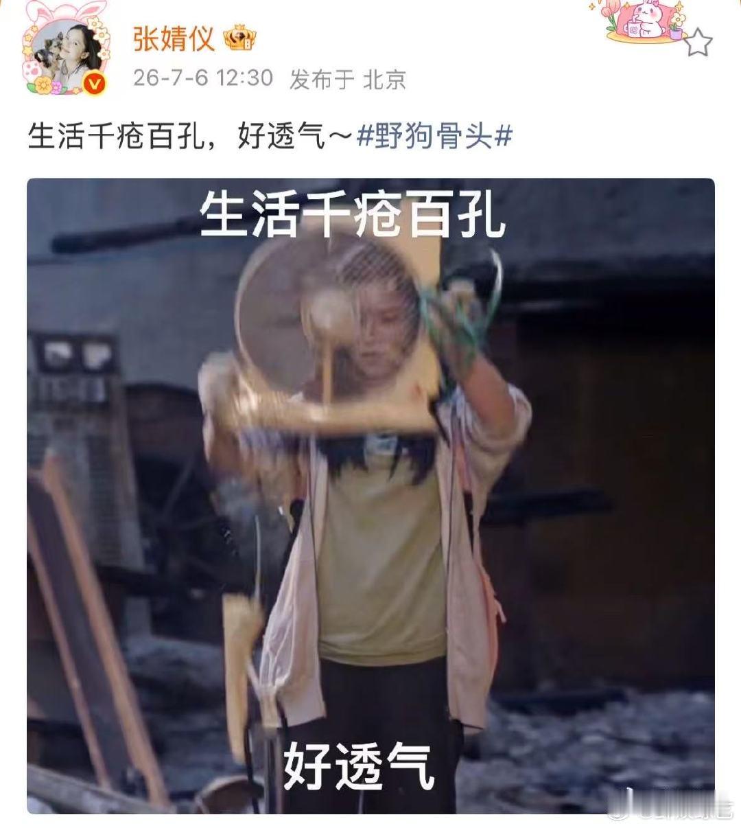 张婧仪抽象文案配苗靖抽象人生张婧仪发的抽象文案太好笑了苗靖生活千疮百孔好透气