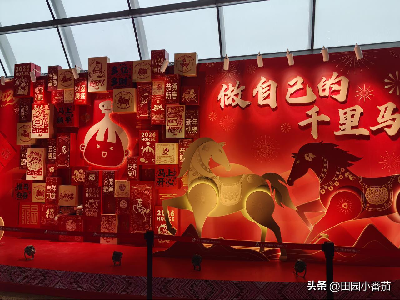 本年时间已过半
各位千里马们都还好么？
人生短短三万天,什么最重要?