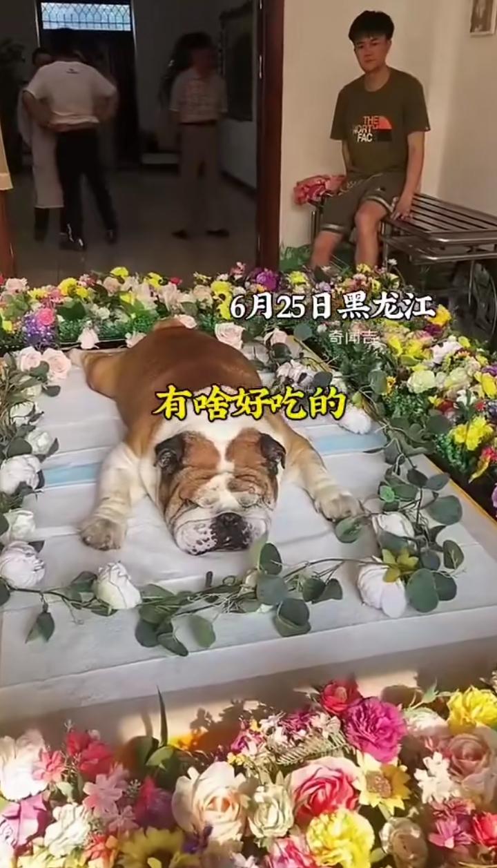 白发人送黄发人，中年丧子多可怜，节哀顺变🕯️🕯️🕯️