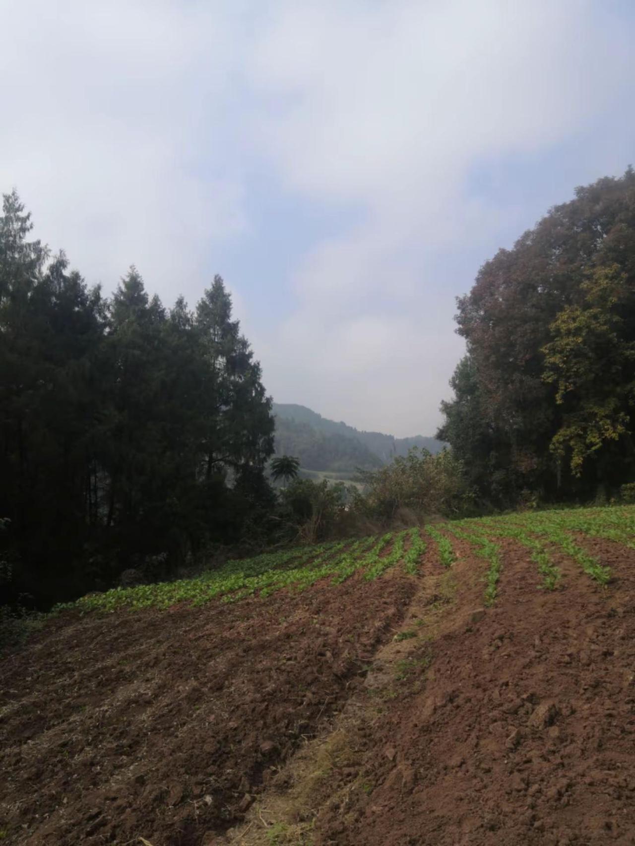 大山深处，很美的风景，这里正是阳光灿烂的大冬天吧我的乡村生活 清新空气 农村日常