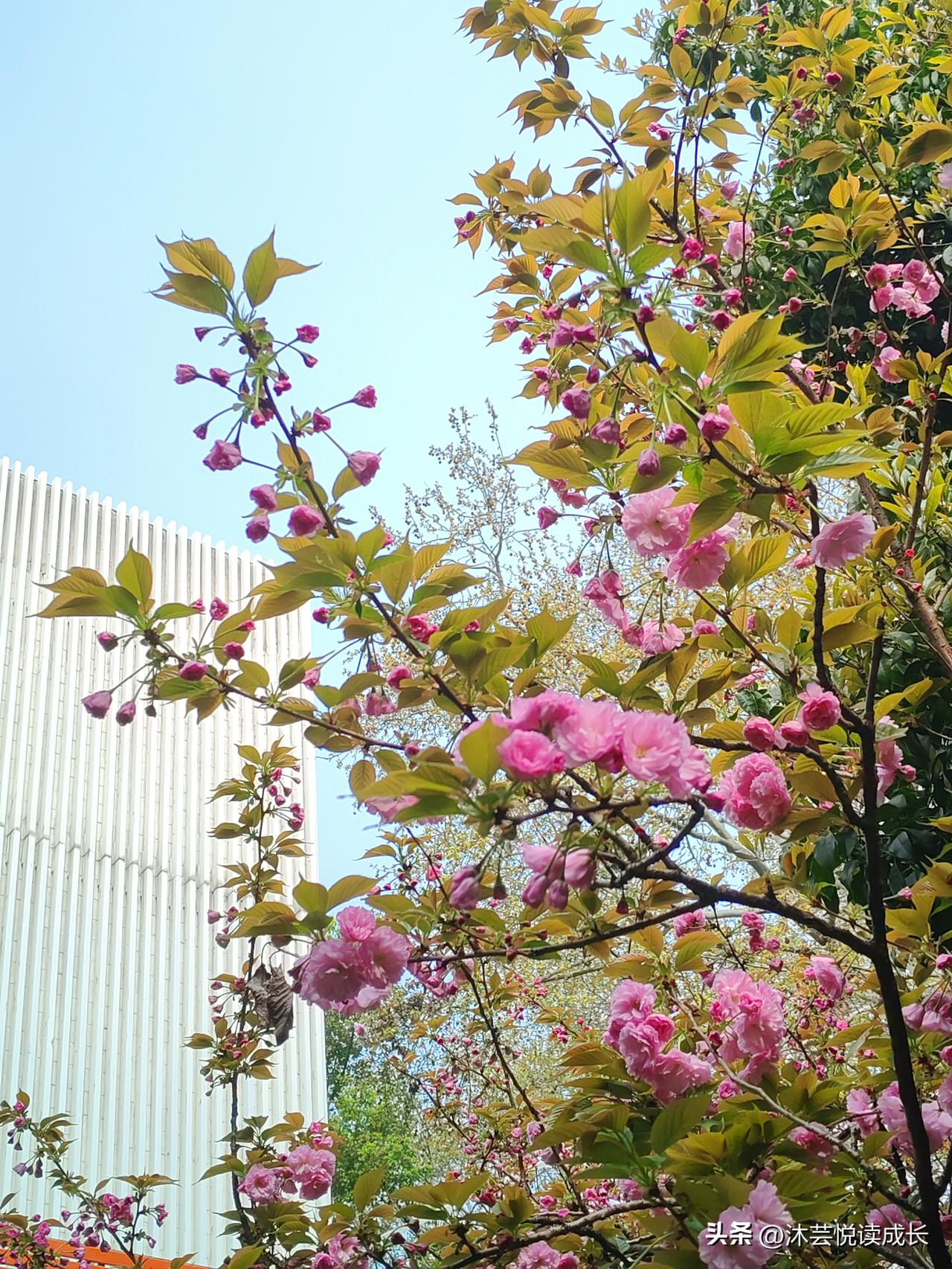 退休后你觉得无聊吗?
还是上班的日子过得有滋味。
上班时忙忙碌碌，日程排得满满当