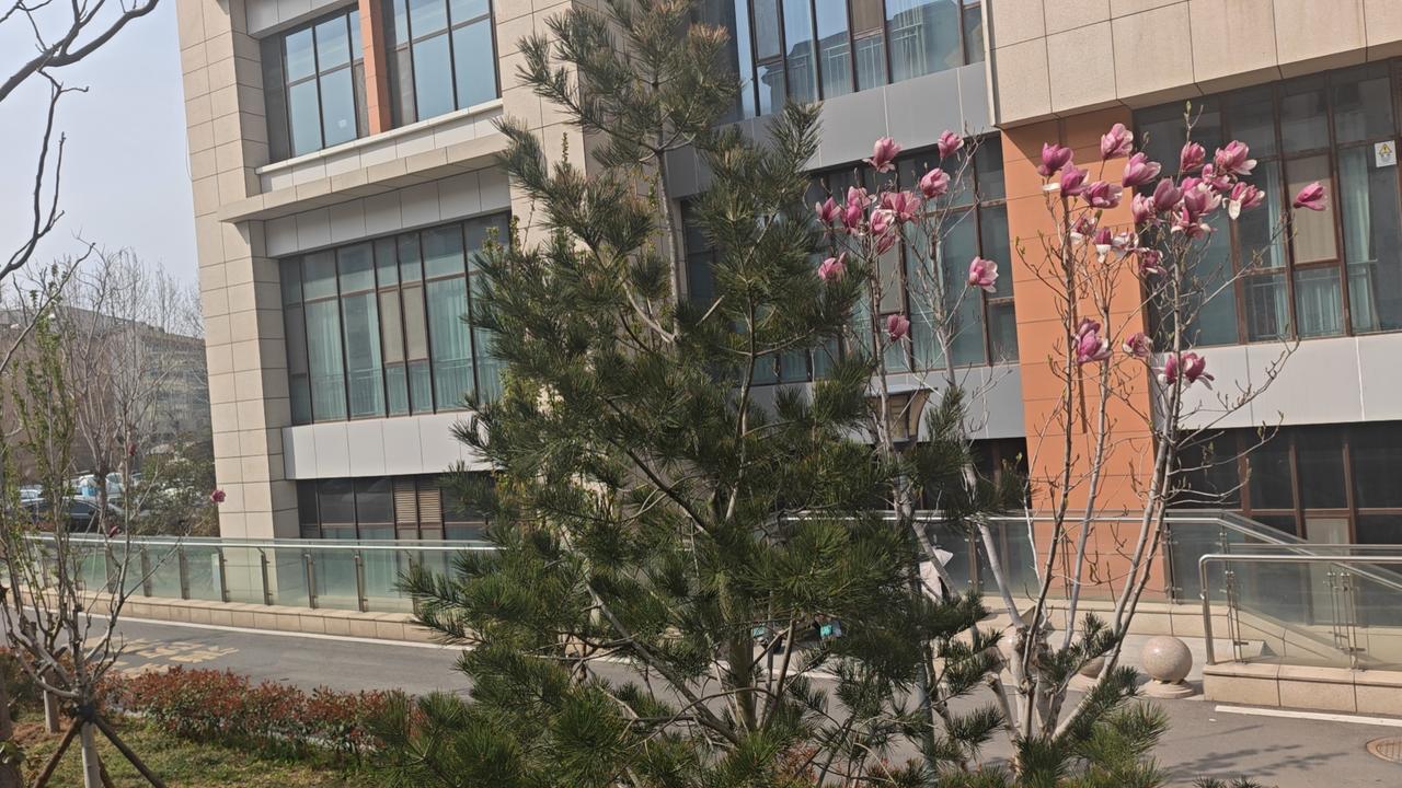 春日生活打卡季