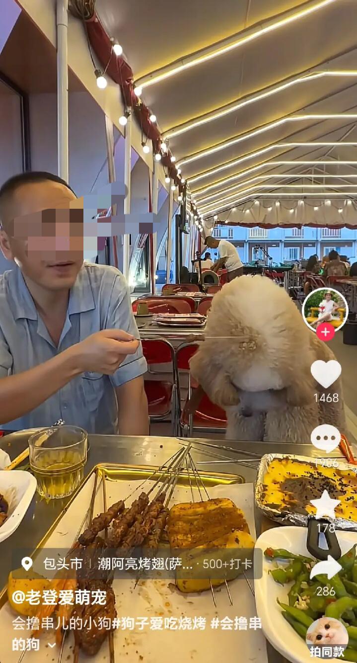 真的太离谱！包头这家烧烤店平白无故被顾客坑惨了。食客公然带狗上桌撸串，还用店里循