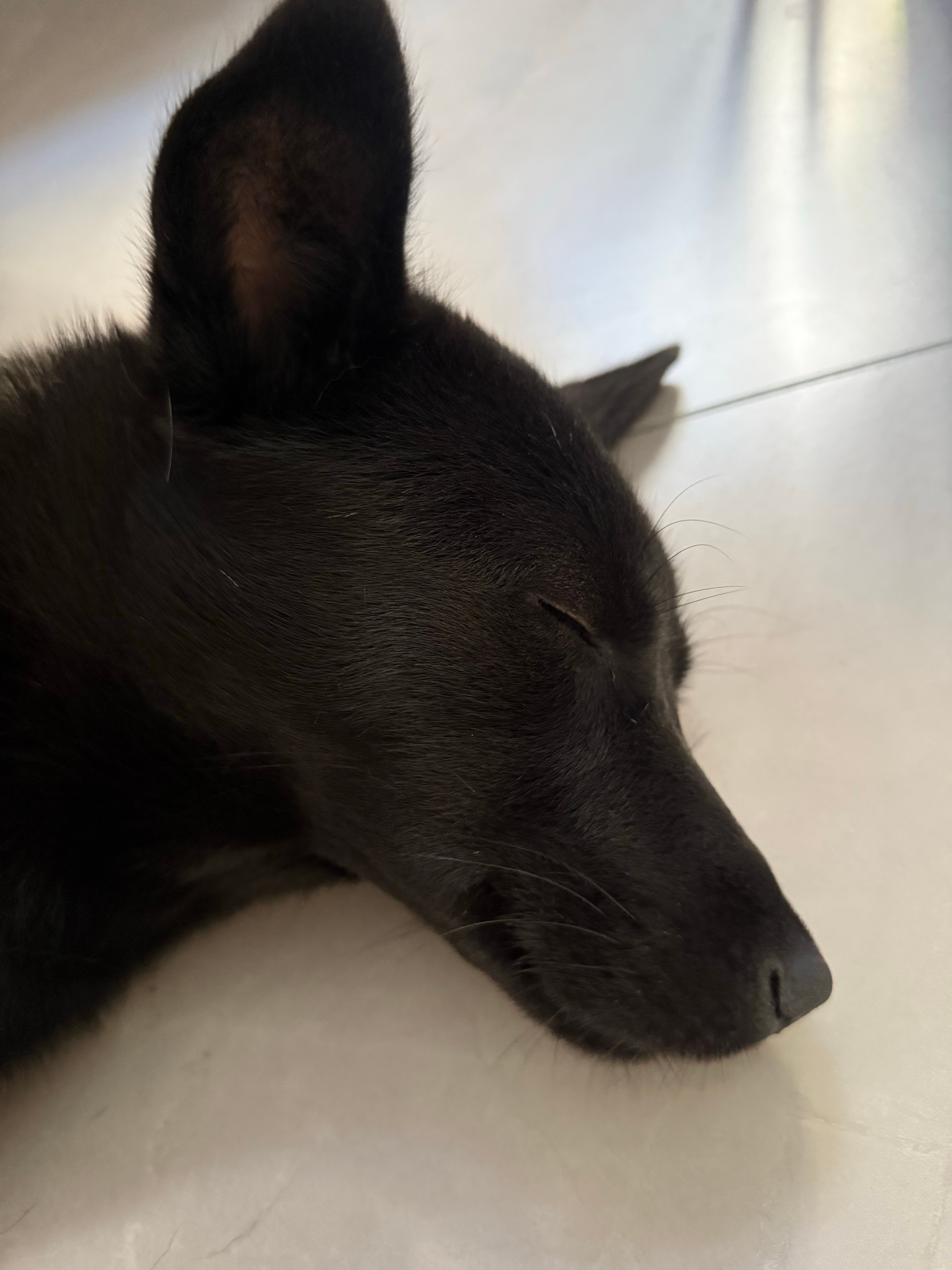 别睡了起来嗨 ​​​