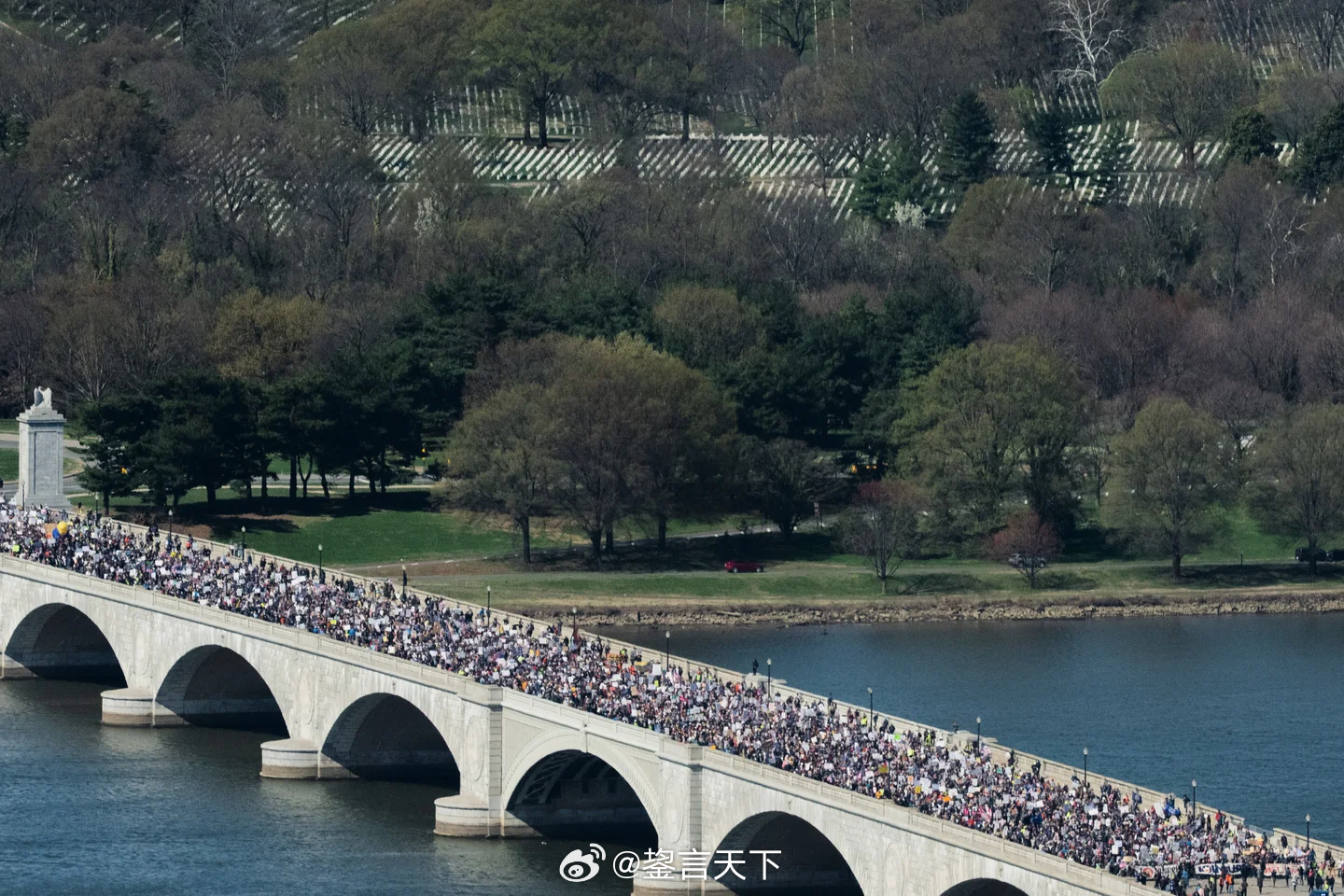 周六“美国没有国王”示威的照片。网图 